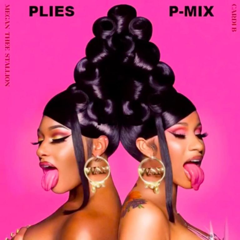 Plies – WAP (P-Mix) (AUDIO)