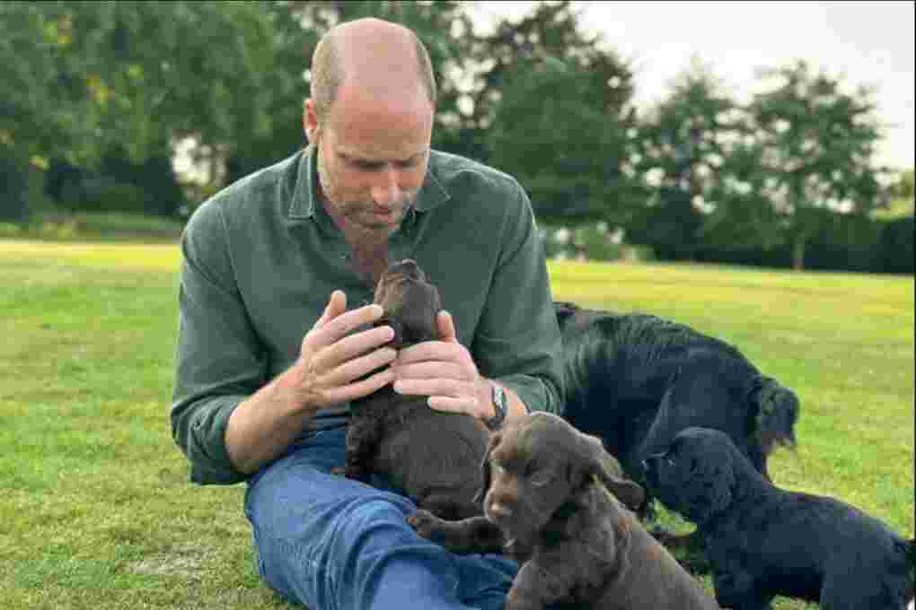 prince william,kate middleton,prince william and kate middleton,kate middleton and prince william,prince william and kate middleton wedding,prince george,prince louis,prince of wales,prince charles,princess of wales,william and kate,kate middleton prince william,prince william kate middleton,prince harry,prince william and kate middleton love story,prince william and kate,prince william and kate middleton kids,prince william and kate middleton news